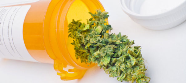 informazione sull'uso terapico della cannabis